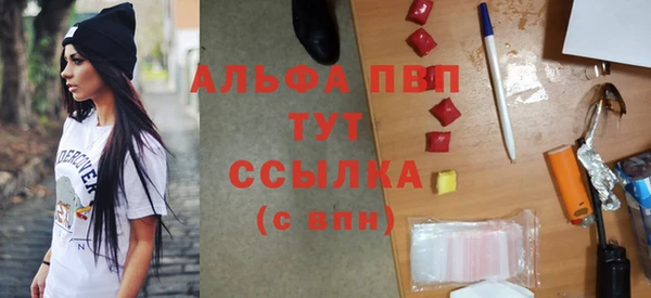 дмт Белокуриха