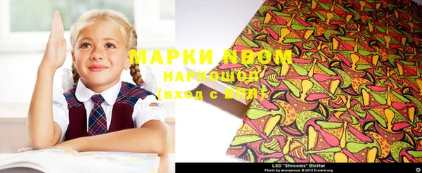 дмт Белокуриха