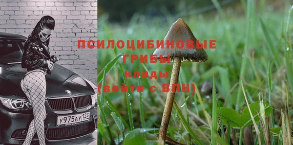 дмт Белокуриха