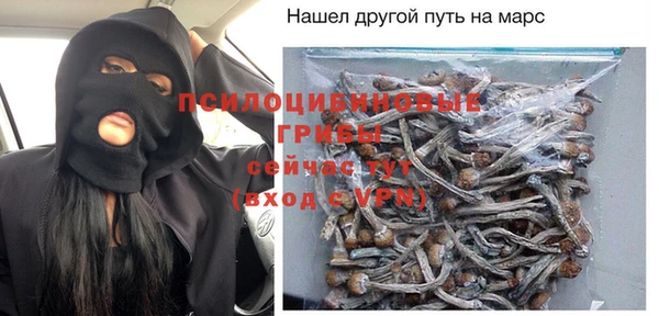 дмт Белокуриха