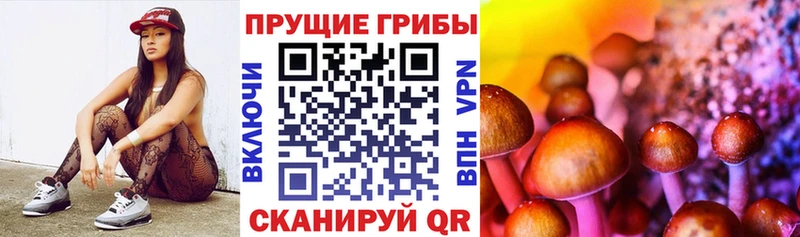 МЕГА tor  Нерехта  Галлюциногенные грибы Psilocybe 